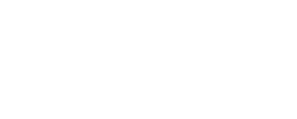 VIVOsmart logo